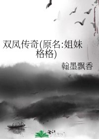 《双凤传奇(原名:姐妹格格)》