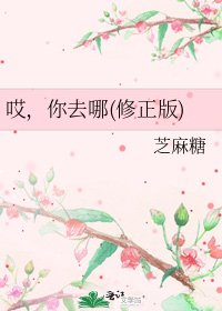 《哎,你去哪(修正版)》