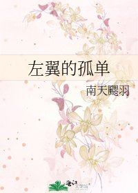 《左翼的孤单》