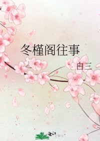 冬槿阁往事