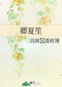 《卿夏笙》