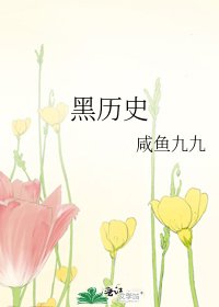 《黑历史》