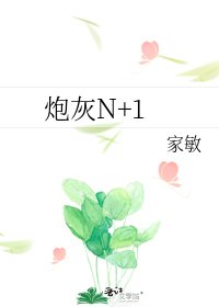 《炮灰N+1》