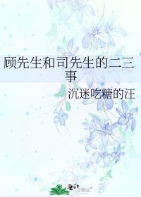 《顾先生和司先生的二三事》