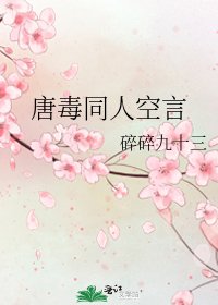 《唐毒同人空言》