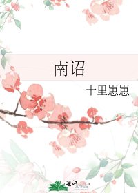 《南诏》