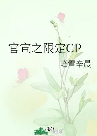 《官宣之限定CP》