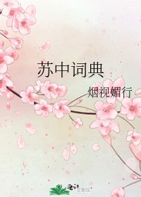 《苏中词典》