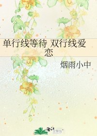 《单行线等待 双行线爱恋》