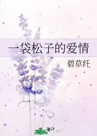 一袋松子的蔼情