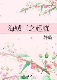 《海贼王之起航》