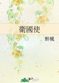 《衛國使》