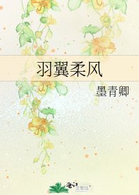 《羽翼柔风》