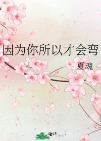 《因为你所以才会弯》
