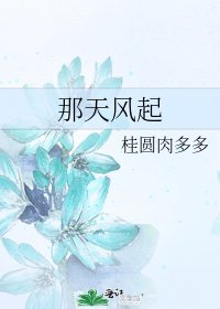 《那天风起》