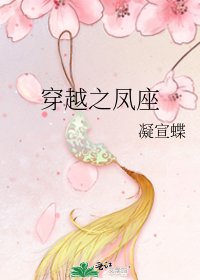 《穿越之凤座》