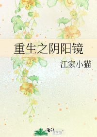 《重生之阴阳镜》