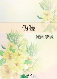 《伪装》