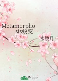 《Metamorphosis蜕变》