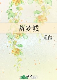《蓄梦城》