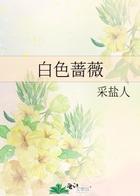《白色蔷薇》
