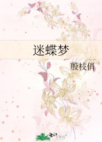 《迷蝶梦》