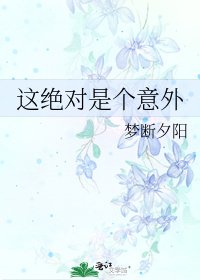 《这绝对是个意外》
