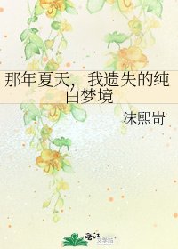 《那年夏天,我遗失的纯白梦境》