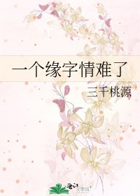 《一个缘字情难了》