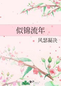 《似锦流年》