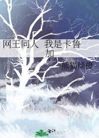 《网王同人 我是卡鲁加》