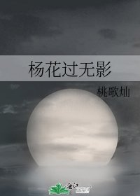 《杨花过无影》