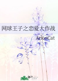 《网球王子之恋爱大作战》
