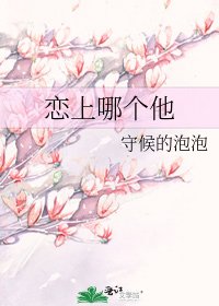 《恋上哪个他》