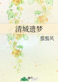 《清城遗梦》