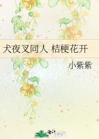 《犬夜叉同人 桔梗花开》