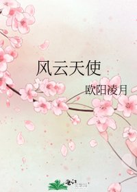 《风云天使》