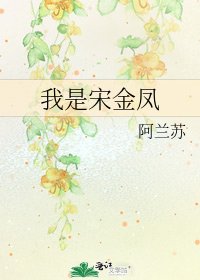 《我是宋金凤》
