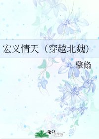 《宏义情天(穿越北魏)》
