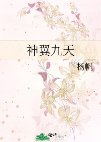 《神翼九天》