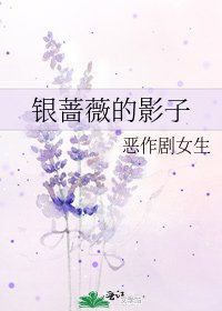 《银蔷薇的影子》