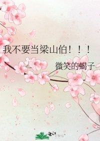 《我不要当梁山伯!!!》