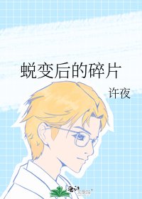 《蜕变后的碎片》