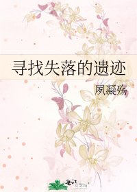 《寻找失落的遗迹》