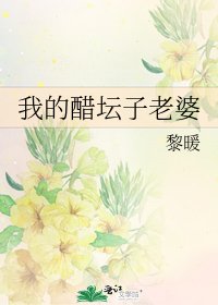 《我的醋坛子老婆》