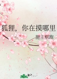 《狐狸,你在摸哪里》