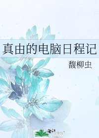 《真由的电脑日程记》
