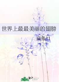 《世界上最最美丽的翅膀》