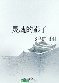 《灵魂的影子》