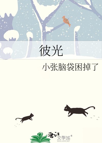 《彼光》